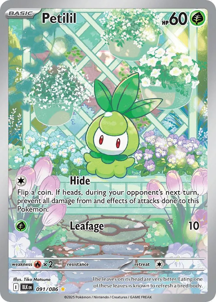 Buy Pokemon TCG Petilil 091/86 - Black Bolt | Pokémon TCG – Pokebundles Ireland