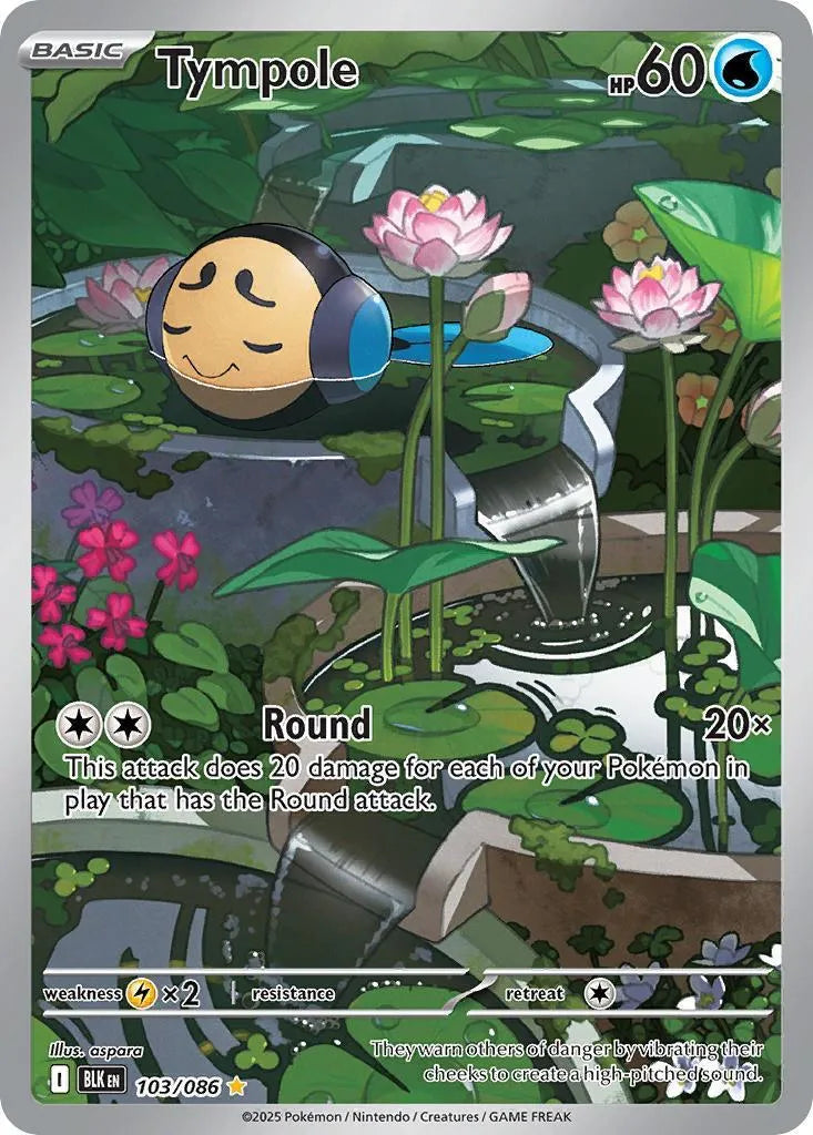 Buy Pokemon TCG Tympole 103/86 - Black Bolt | Pokémon TCG – Pokebundles Ireland