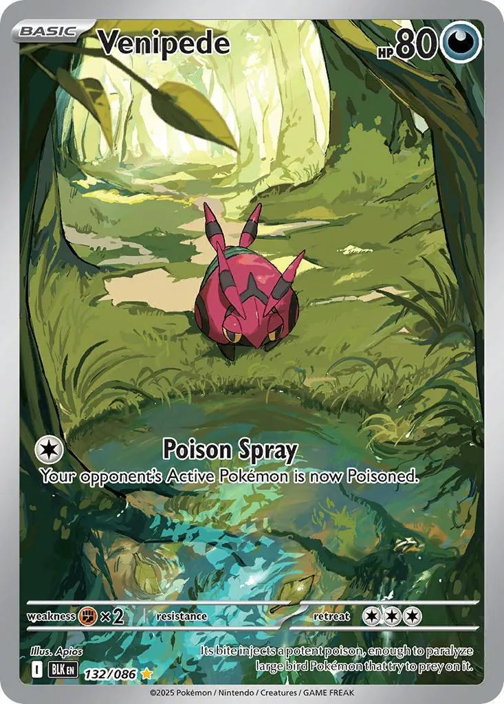 Buy Pokemon TCG Venipede 132/86 - Black Bolt | Pokémon TCG – Pokebundles Ireland