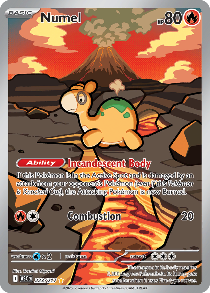 Pokemon TCG Numel 223/217 - Ascended Heroes