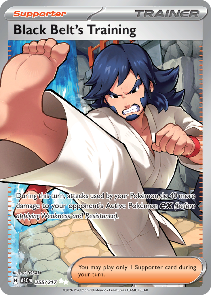 Pokemon TCG Black Belt's Training 255/217 - Ascended Heroes