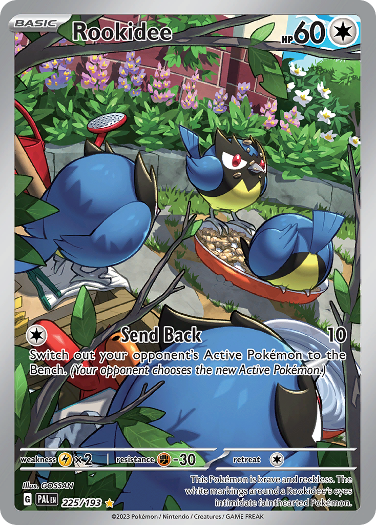 Rookidee 225/193 Paldea Evolved Pokémon card | Pokebundles Ireland