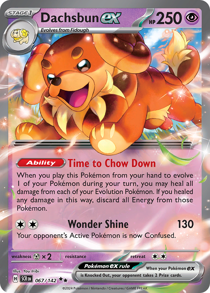 Dachsbun ex 067/142 Stellar Crown Pokémon card | Pokebundles Ireland